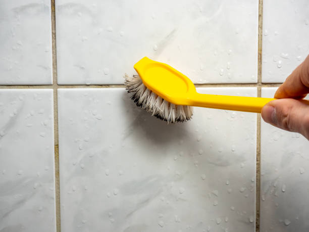 Best Black Mold Removal  in Bellefontaine, OH